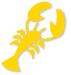 Ellison Design Thin Cuts - Lobster