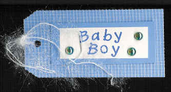 babyBoyTag.jpg (497815 bytes)