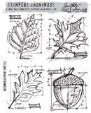 Tim Holtz Stamps - Autumn Blueprint