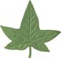 Marvy Uchida Clever Lever Embossing Punch Giga Ivy Leaf